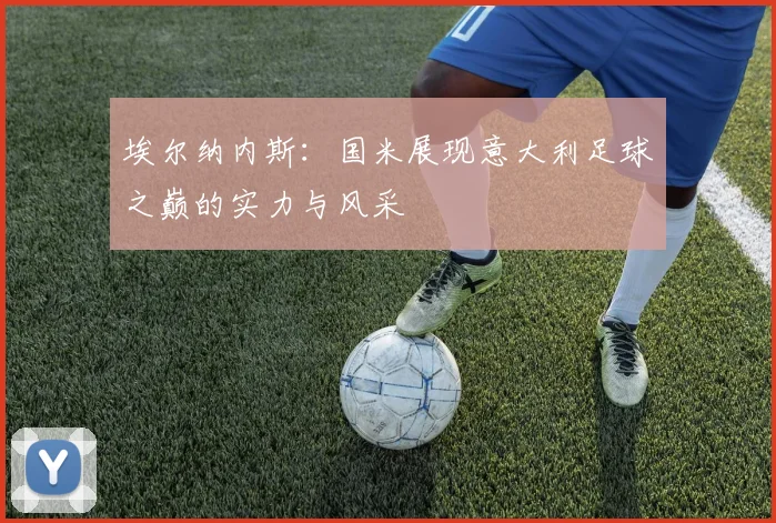 埃尔纳内斯：国米展现意大利足球之巅的实力与风采