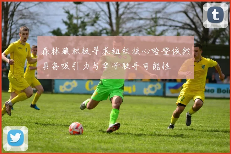 森林狼积极寻求组织核心哈登依然具备吸引力与华子联手可能性