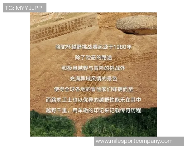 沙足传奇征战中超的荣耀与挑战之路 沙足传奇征战中超的荣耀与挑战之路